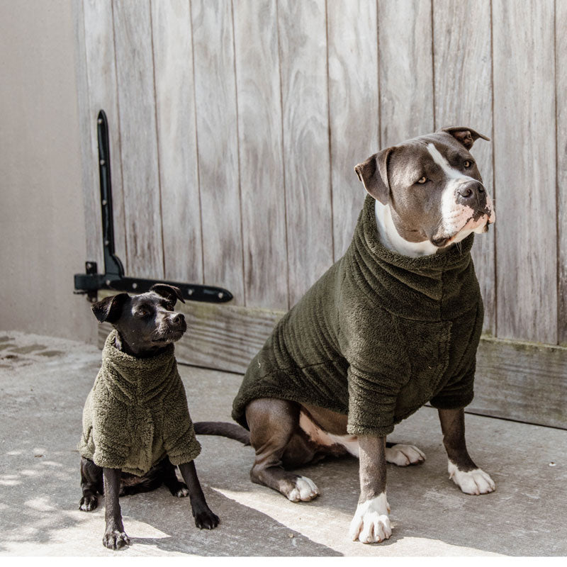 Kentucky Teddy Fleece pine green Dog Sweater