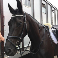 Equiture Clear crystal and black diamond browband