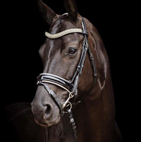 Equiture Clear crystal megabling curve browband