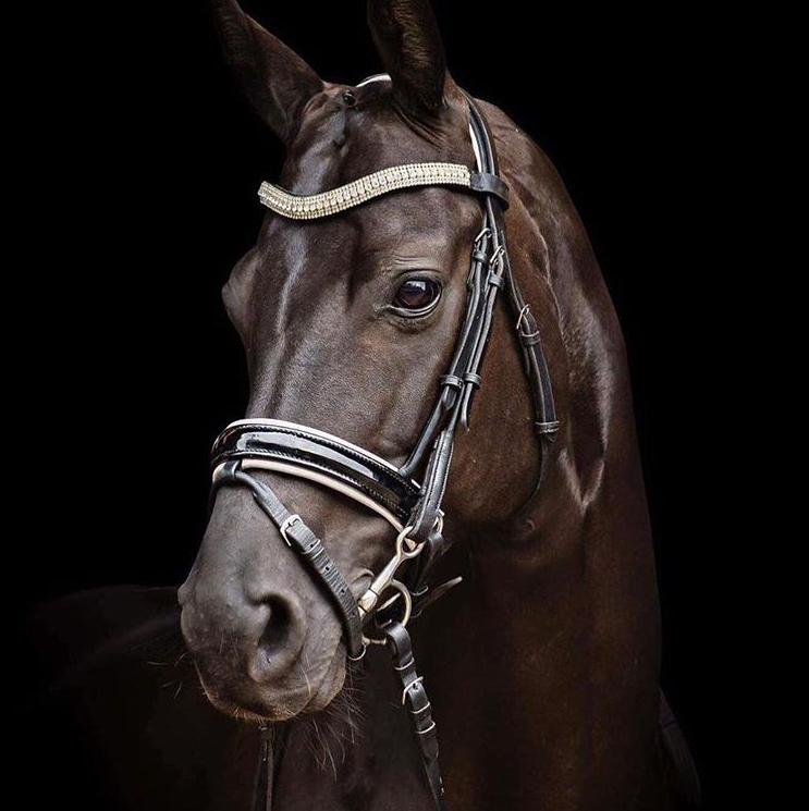Equiture Clear crystal megabling curve browband