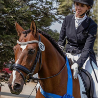 Equiture Clear crystal megabling curve browband