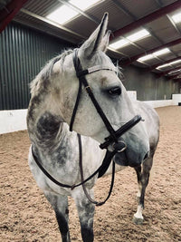 Equiture Clear crystal megabling curve browband
