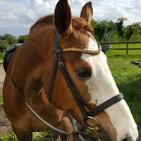 Equiture Bronze browband