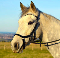 Equiture Clear crystal and black diamond browband