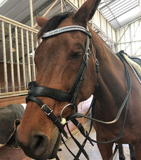 Equiture Swarovski turquoise blue fade megabling curve browband
