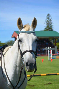 Equiture Iridescent, blue zircon and clear megabling curve browband