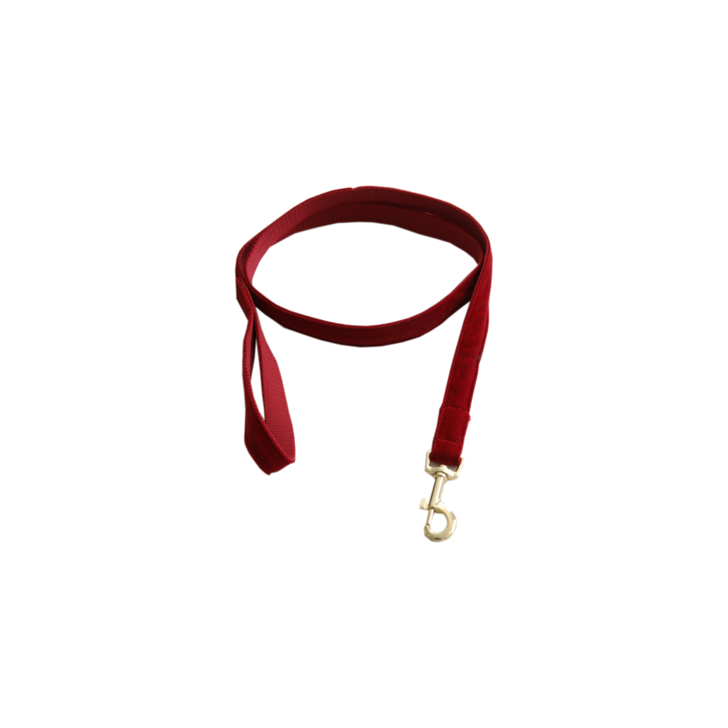 Kentucky dogwear Corduroy lead