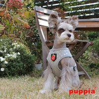 Grey Modern Dotty Harness