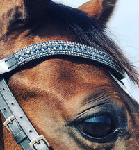 Equiture Montana megabling curve browband