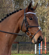 Equiture Swarovski Tiffany reverse purple fade megabling curve browband