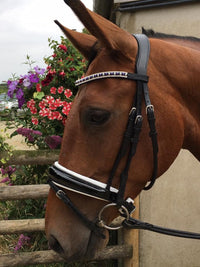 Equiture Purple and silver pearls alternating browband