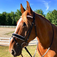 Equiture Swarovski tiffany rose gold megabling curve browband