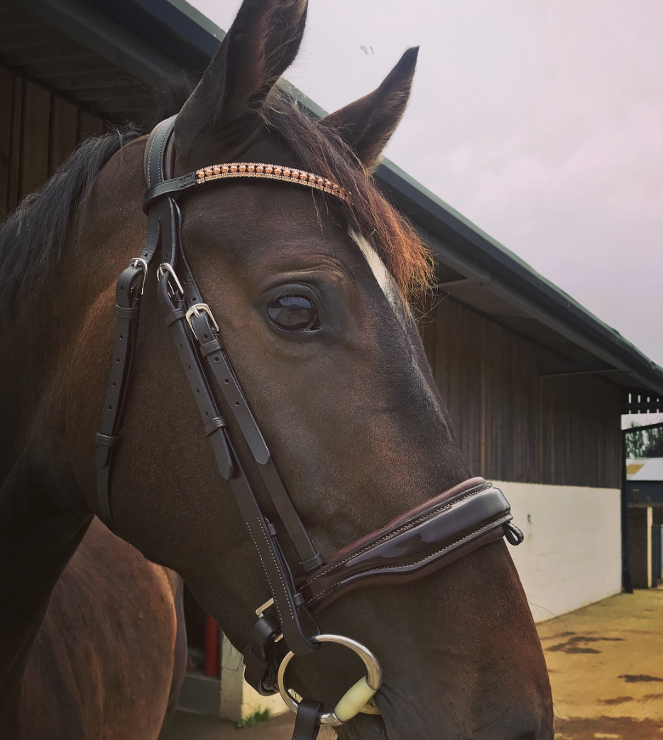 Equiture Swarovski Rose gold pearl browband