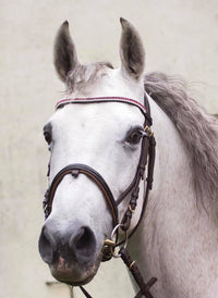 Equiture Ruby and clear browband
