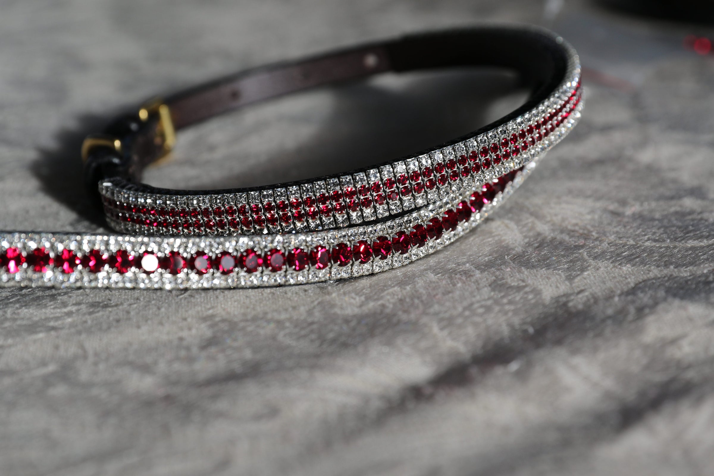 Equiture Ruby and clear browband