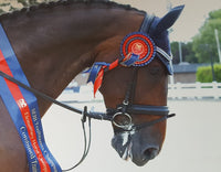 Equiture Sapphire, clear and montana megabling curve browband