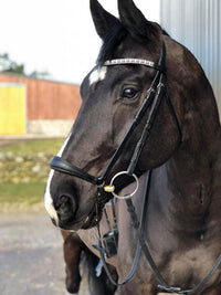 Equiture White and silver alternating pearl with nightfall crystal browband