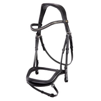 BR Stanley Bridle