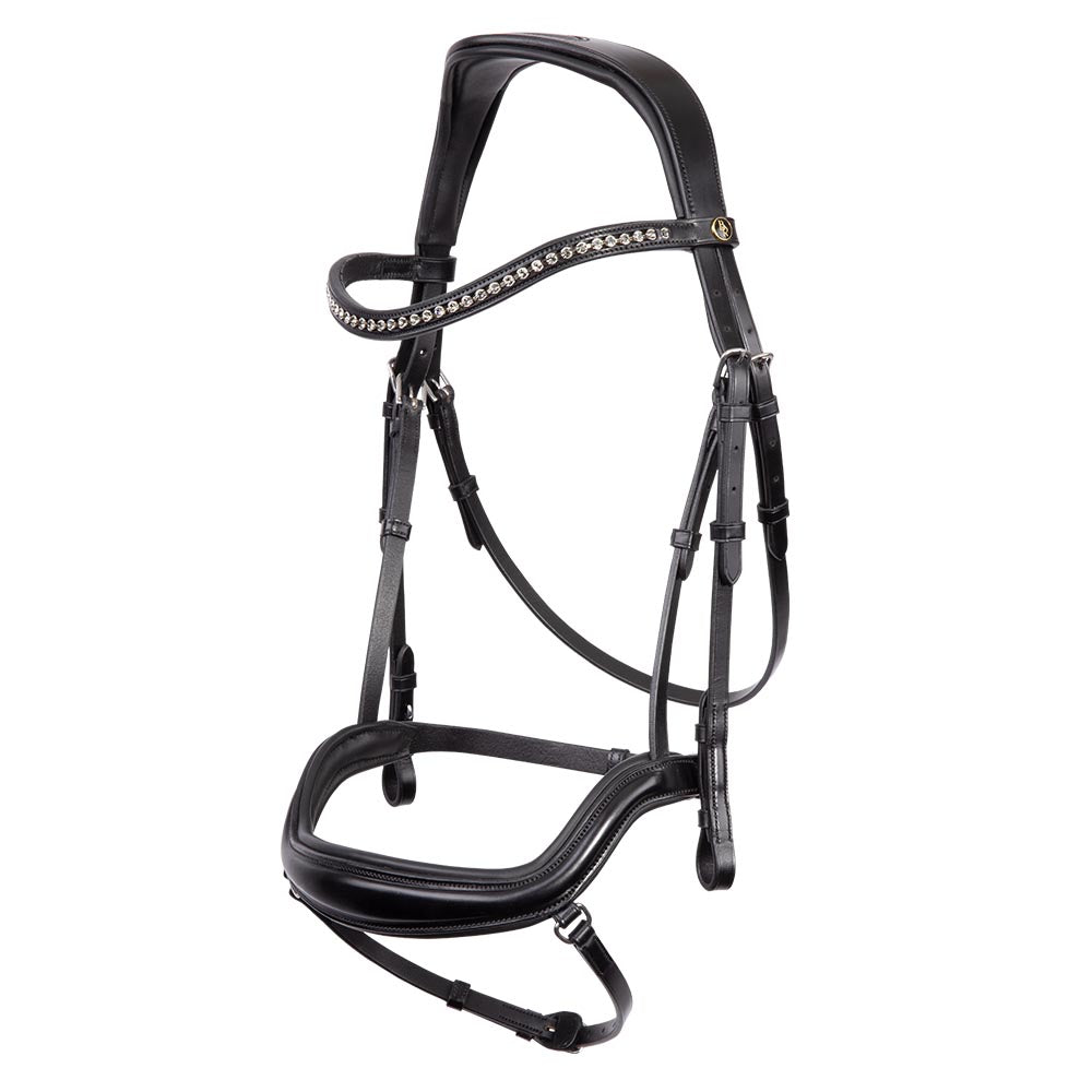 BR Stanley Bridle