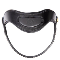 BR Stanley Bridle