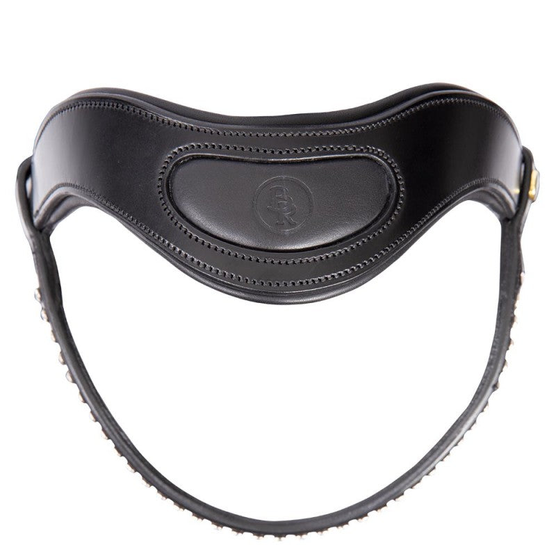 BR Stanley Bridle