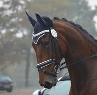 Equiture Iridescent and clear megabling curve browband