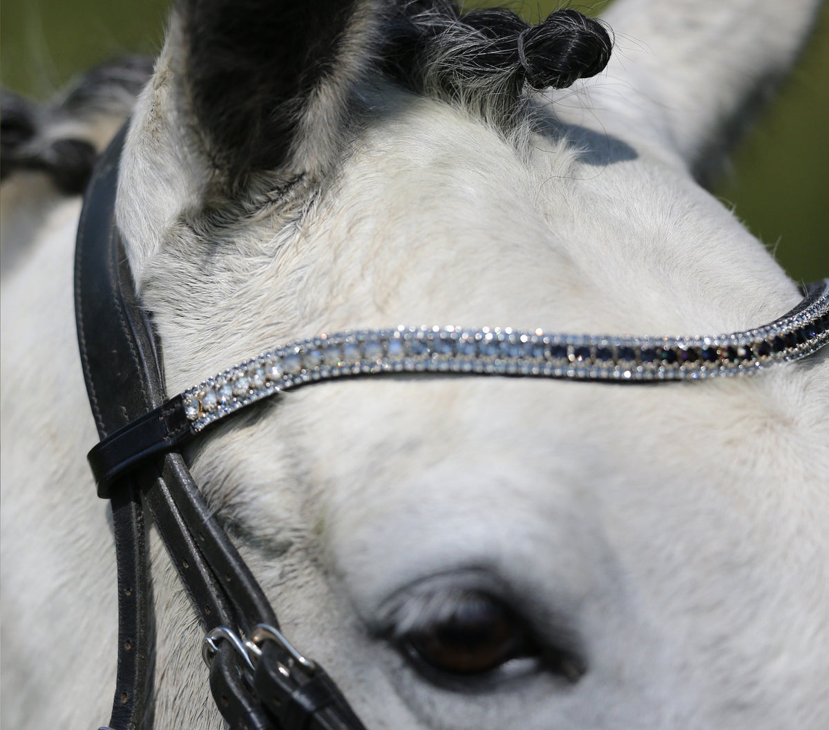 Equiture browbands