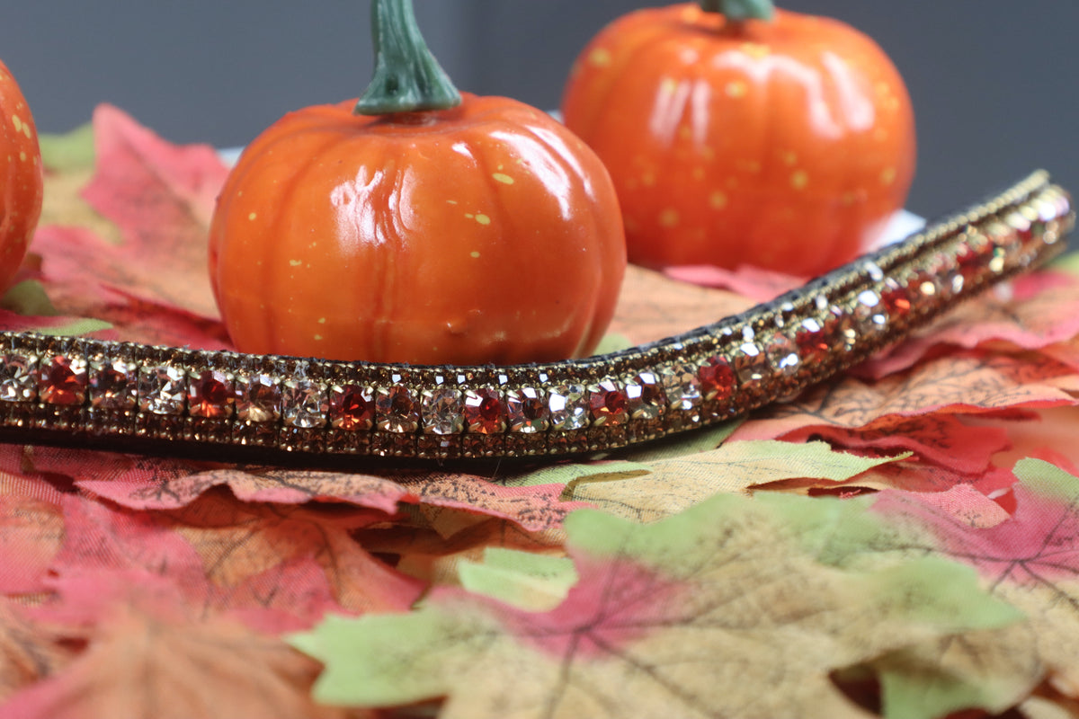 Equiture Limited edition A/W 24