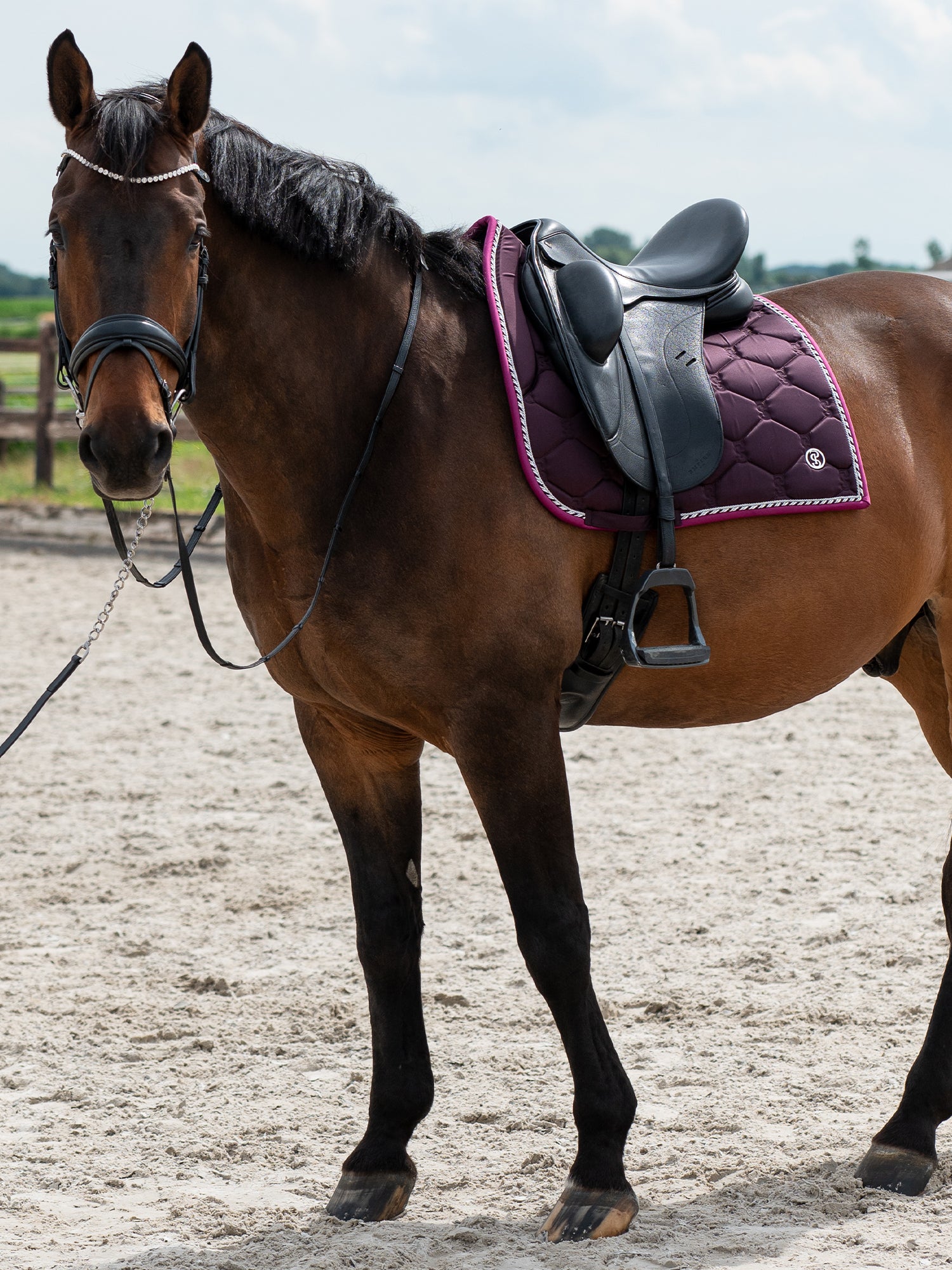 PS of Sweden Plum Signature Dressage saddlepad