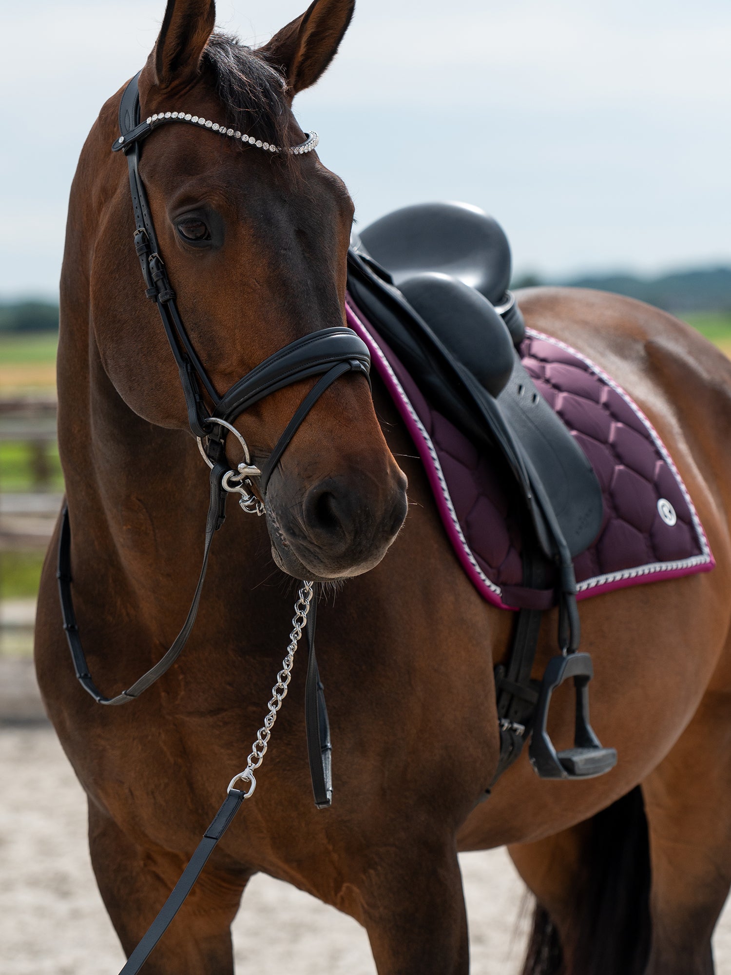 PS of Sweden Plum Signature Dressage saddlepad