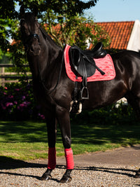 PS of Sweden Scarlet Pink Velvet monogram Dressage saddlepad