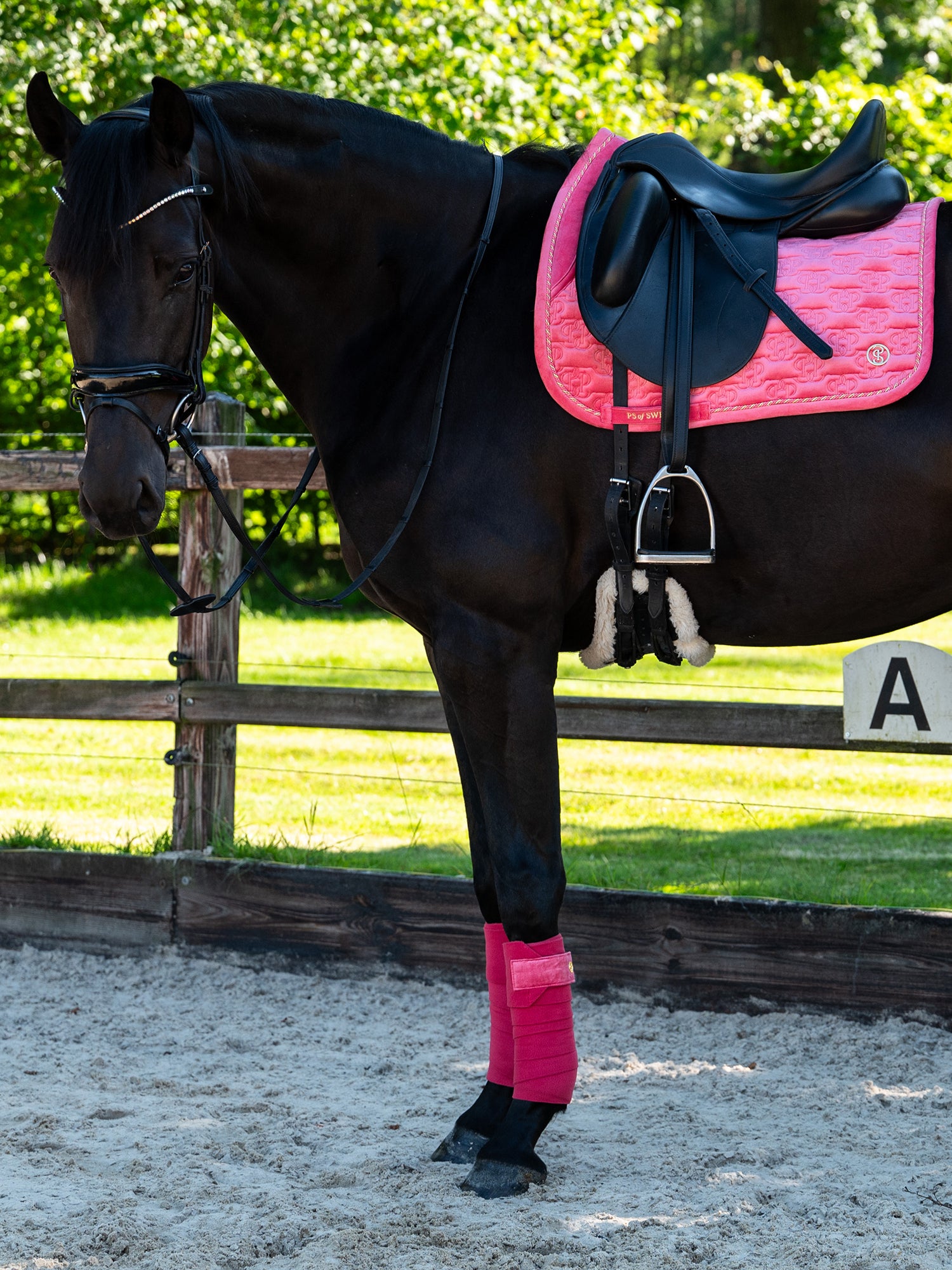 PS of Sweden Scarlet pink Velvet monogram Jump saddlepad