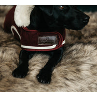Kentucky Bordeaux heavy fleece dog rug