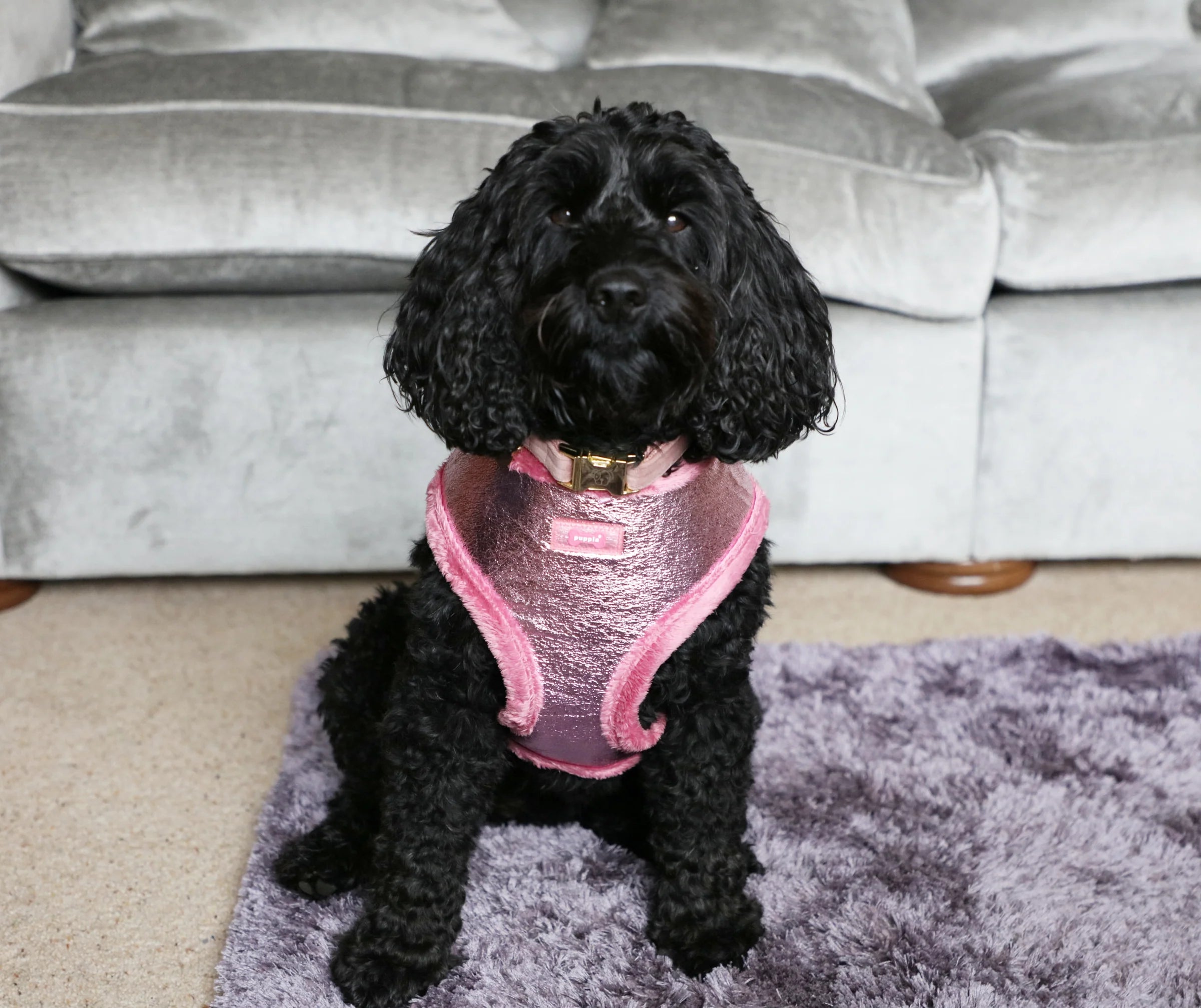 Puppia Luxury Evon Pink harness