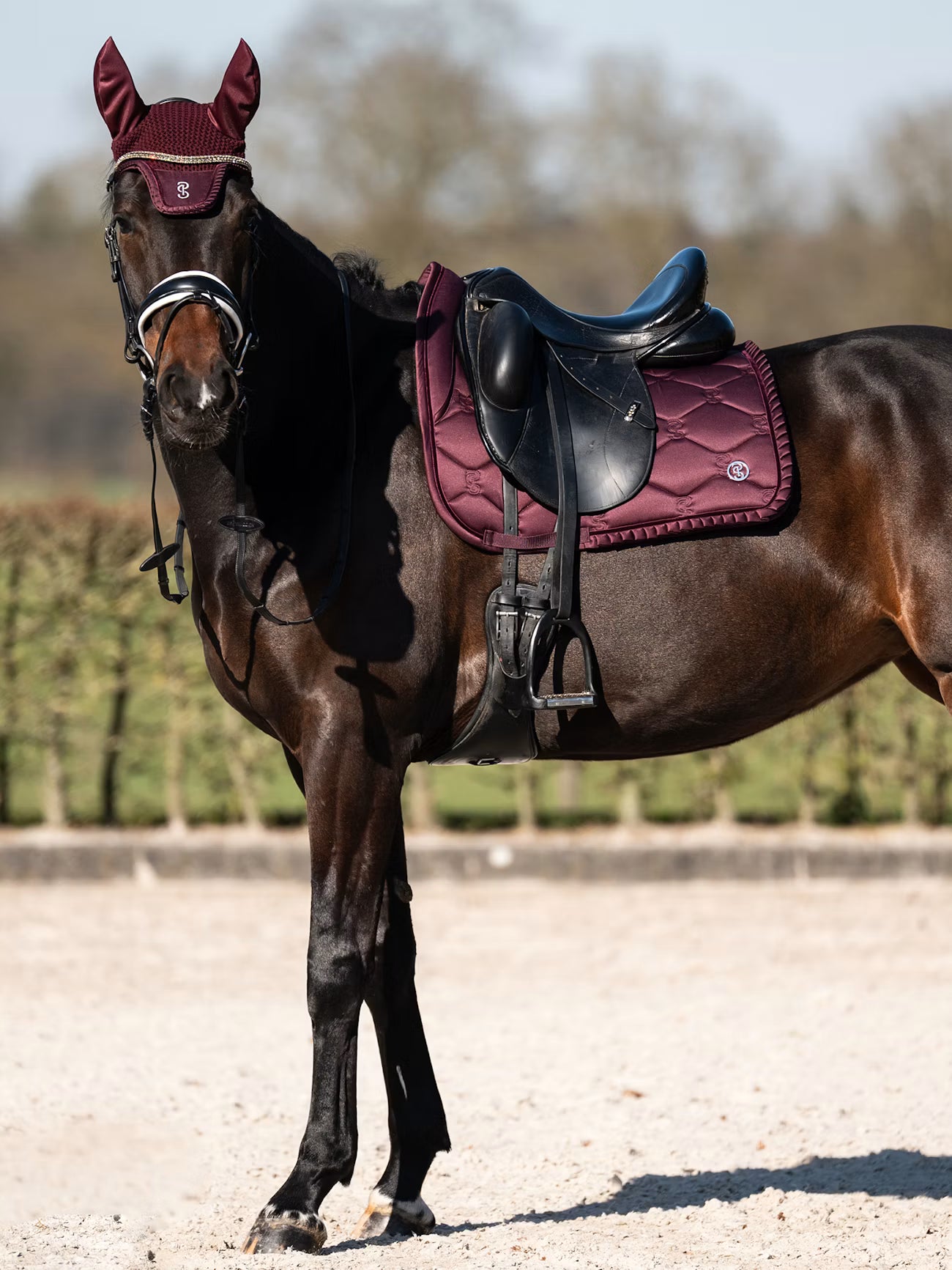 PS of Sweden ruffle Plum dressage saddlepad