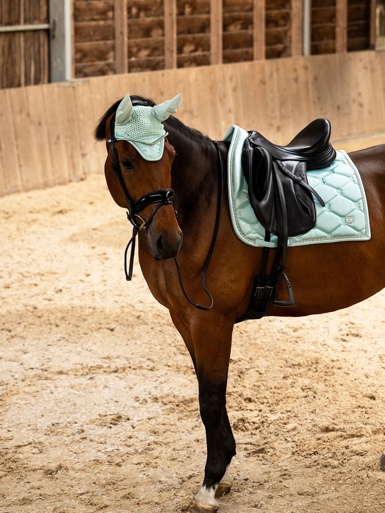 PS of Sweden Signature Arctic Aqua dressage saddlepad