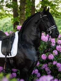 PS of Sweden Signature white dressage saddlepad