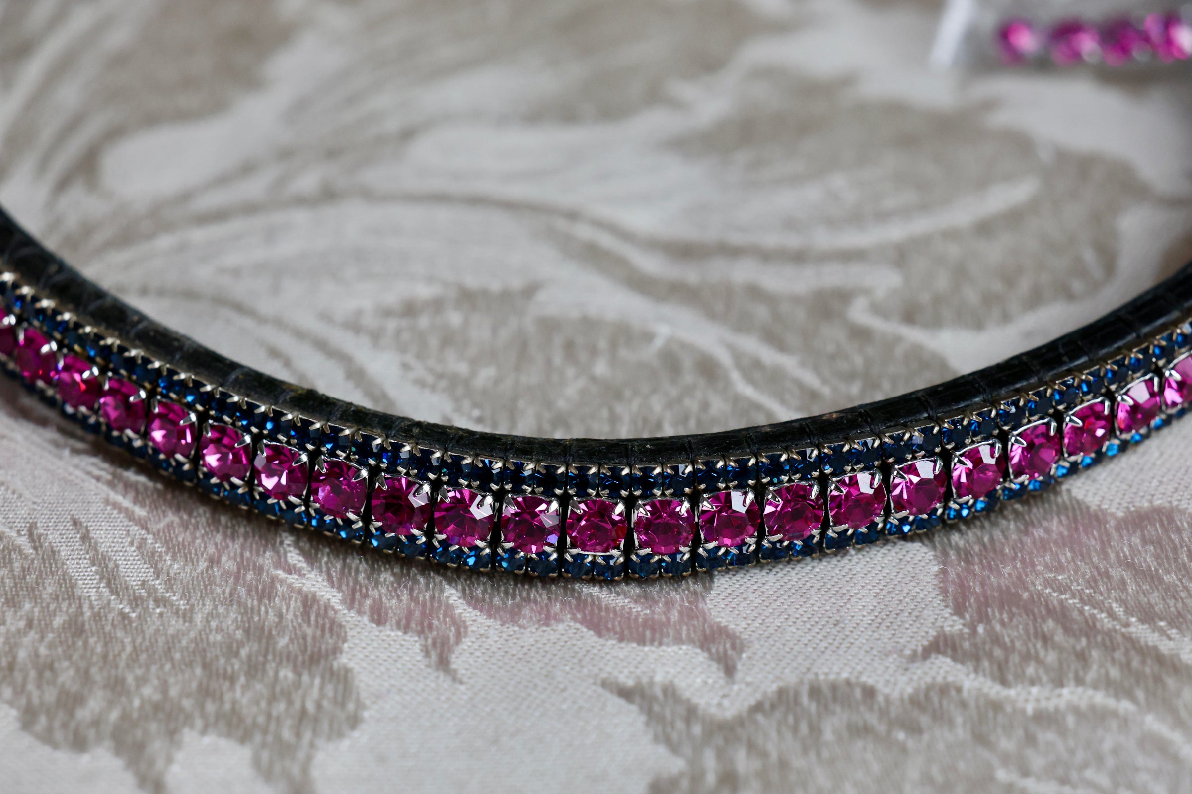 Equiture Fuchsia and montana browband- pony curve black
