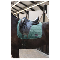 Anky Silver Pine Velvet dressage saddlepad