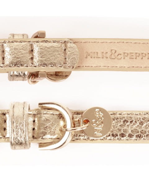 Milk and Pepper gold python Collar