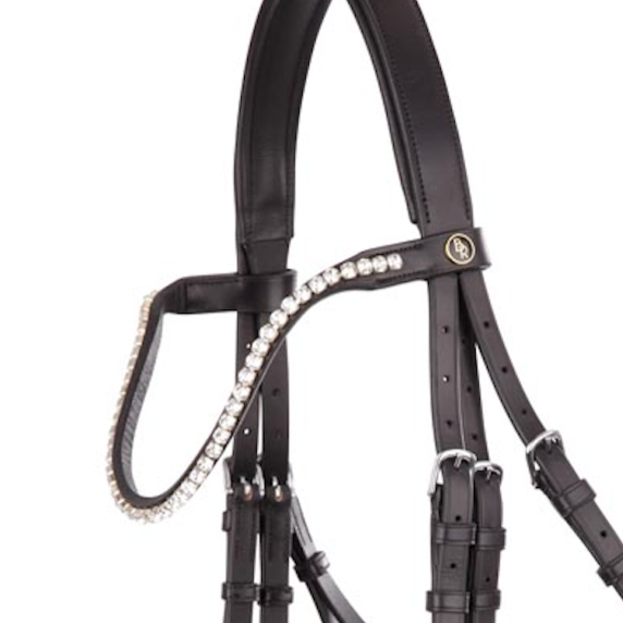 BR elegant curved clear browband