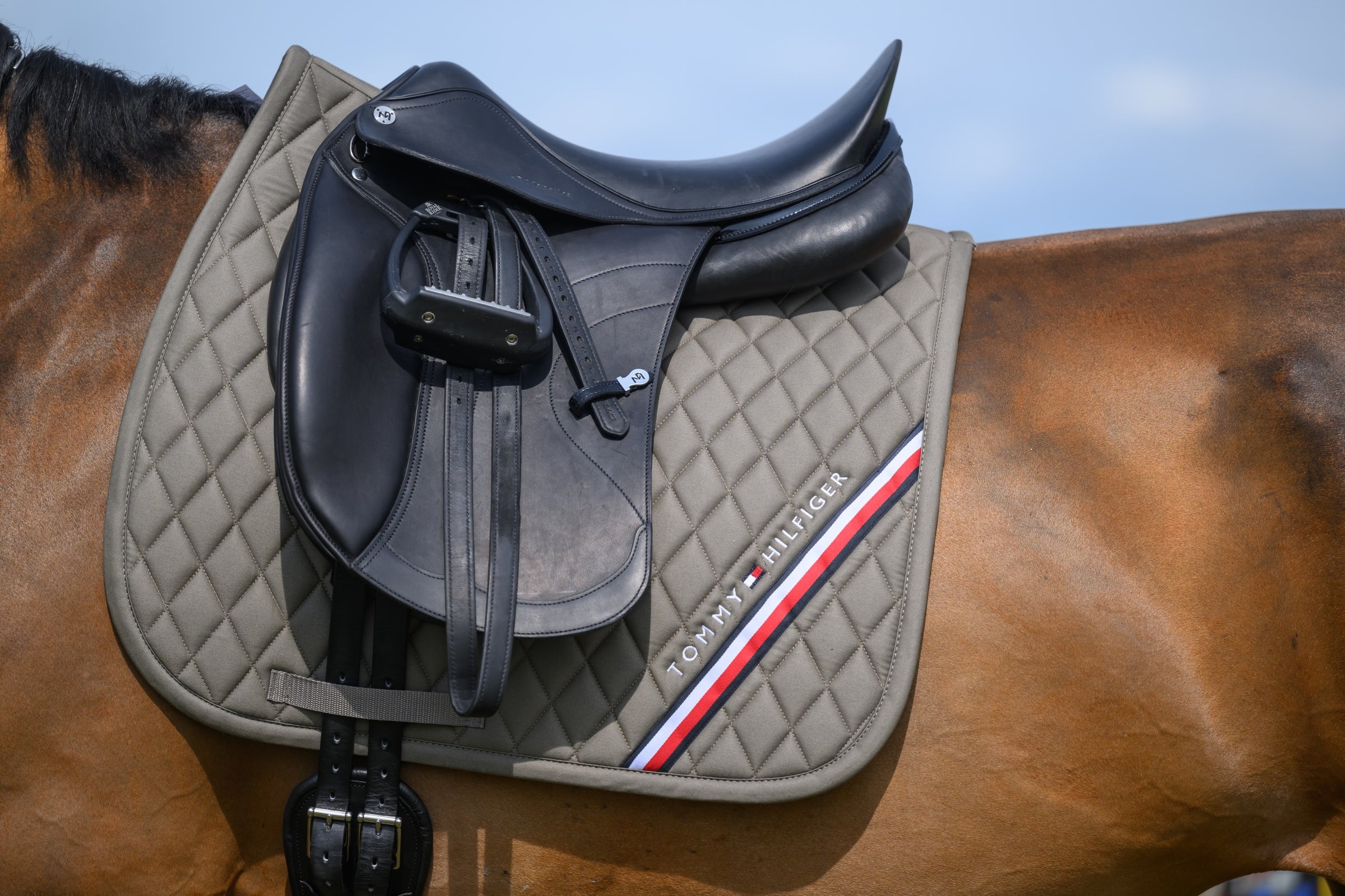 Tommy Hilfiger stanford dressage saddlepad in Ash