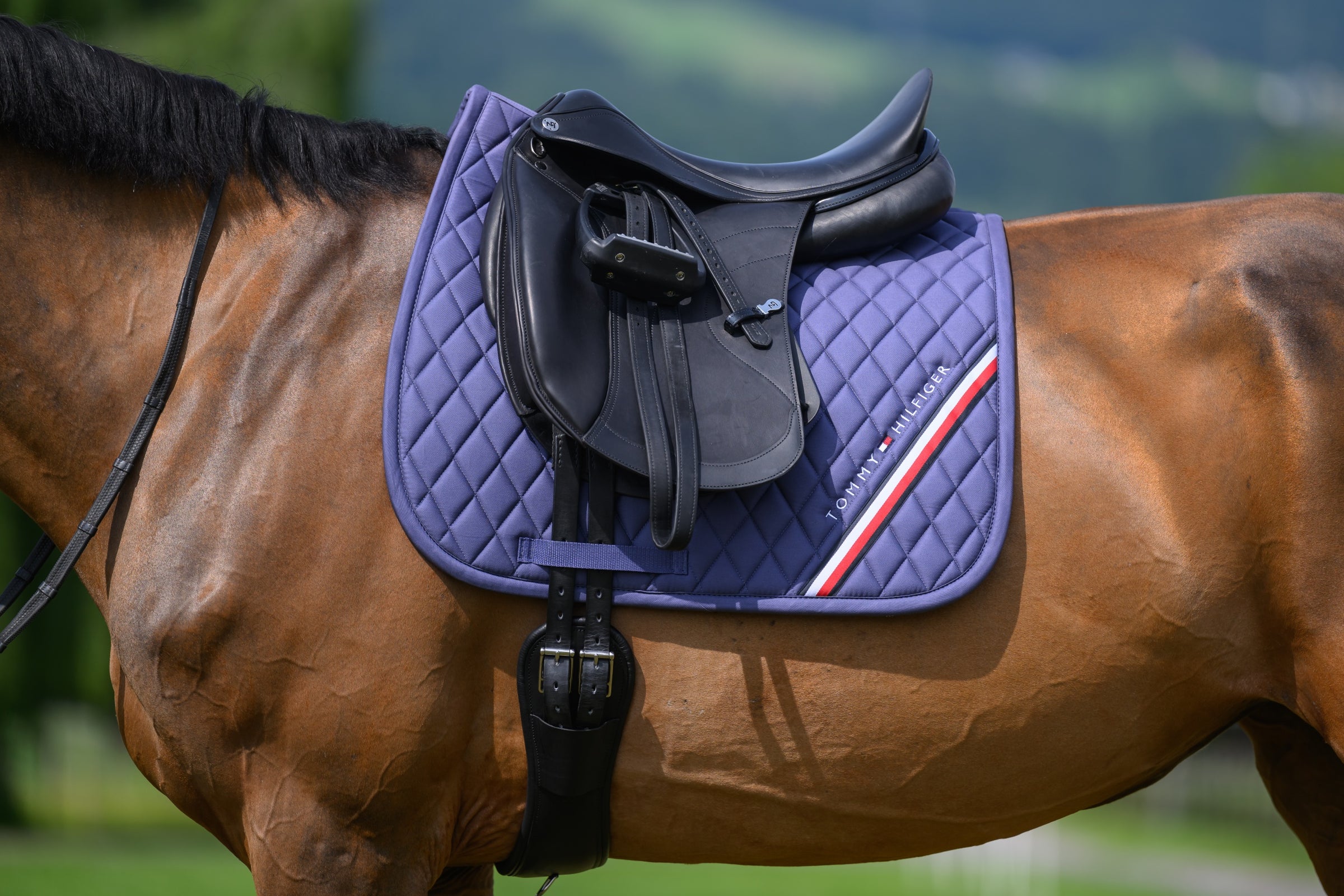 Tommy Hilfiger stanford dressage saddlepad in Faded Indigo