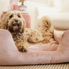 Kentucky soft velvet dog bed in soft rose 80cm x 60cm
