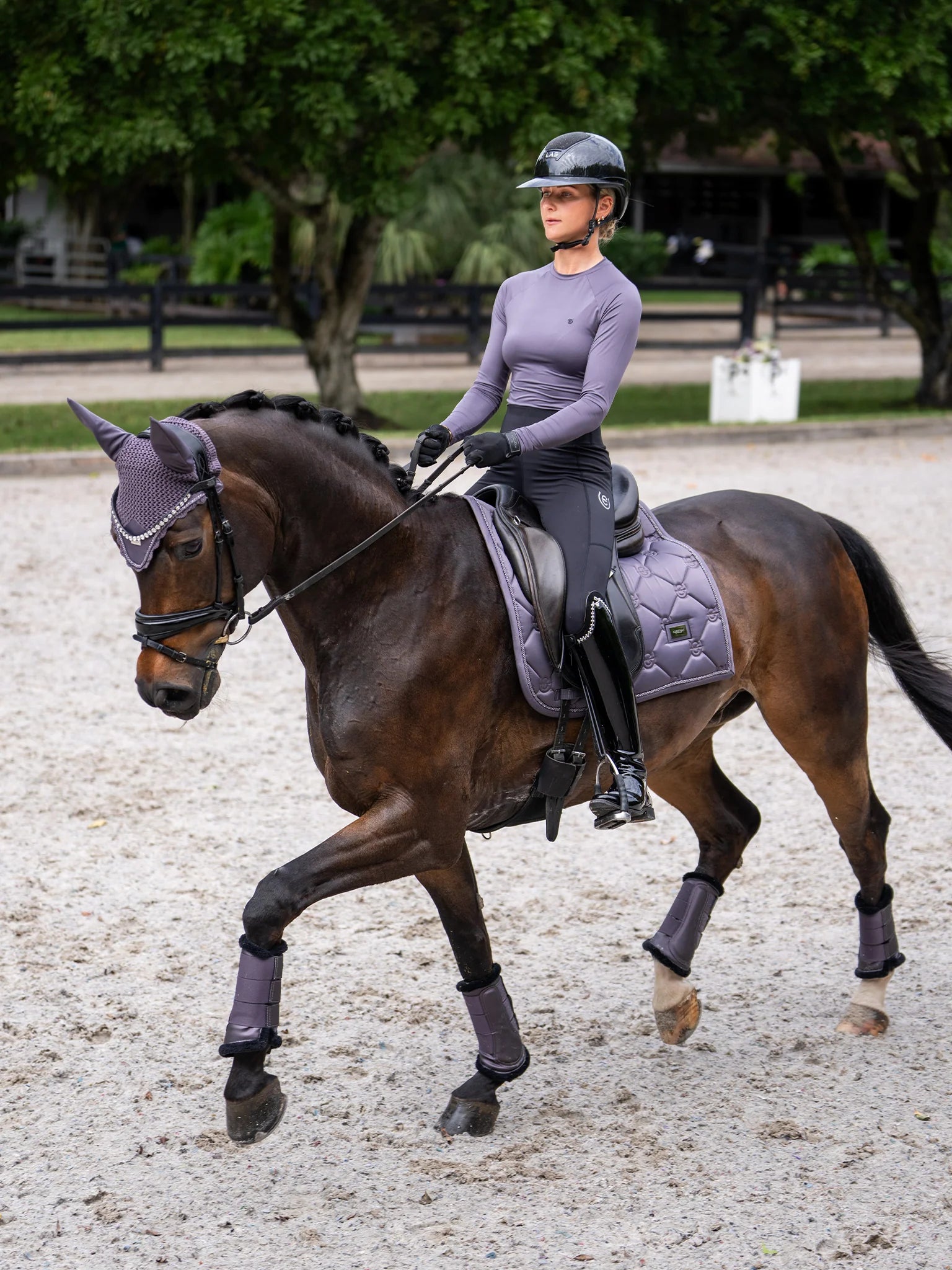 Equestrian Stockholm dark violet dressage saddlepad