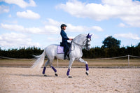 Equestrian Stockholm Lavender dressage saddlepad