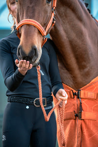 Eskadron Platinum Amber faux leather jewel headcollar and leadrope