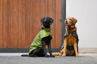 Eskadron Platinum moss green 1680D teddy dog rug