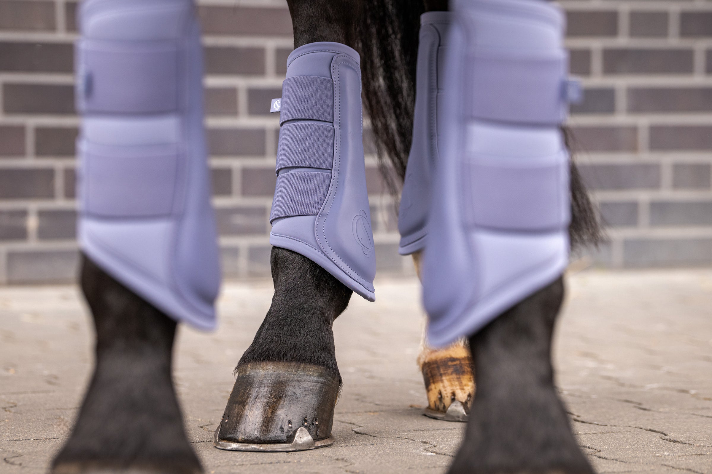 Eskadron Classic Orchid mesh brushing boots