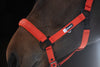 Eskadron Dynamic poppy red glitter headcollar and leadrope